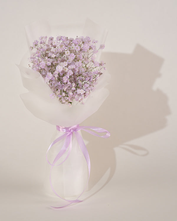 Baby Breath - Pastel Purple (Fresh Flowers)