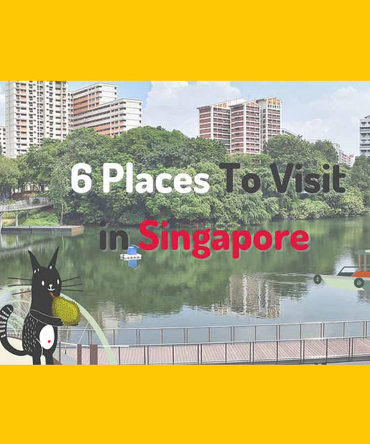 6 Places to Visit in Singapore