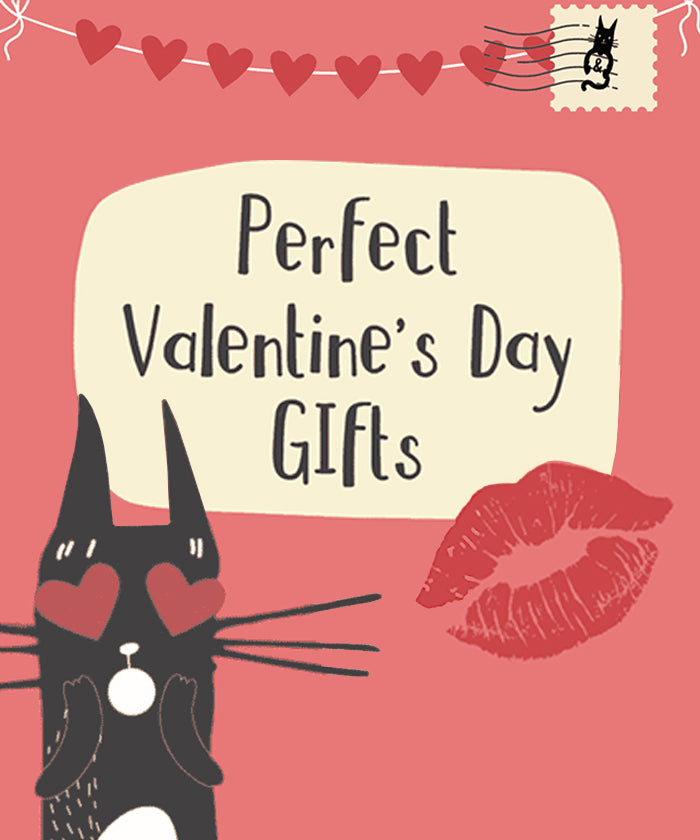 Perfect Valentine's Day Gifts for your Special Someone