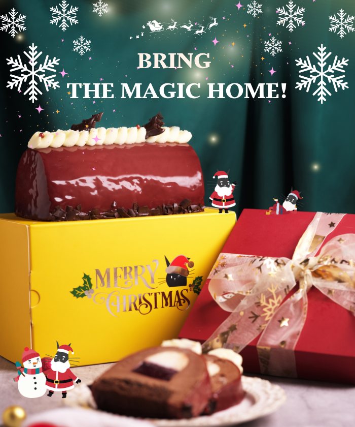Bring the Magic Home This Christmas!