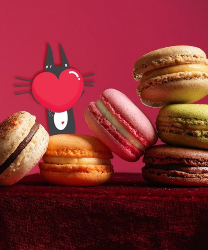 3-14 Feb 2024: Cat & the Fiddle – Macaron Feline V’day Edition Special