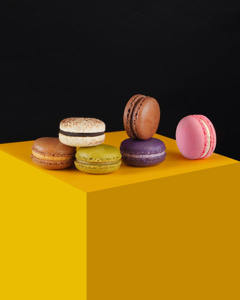 Macaron Feline 1.0 – Cat & the Fiddle