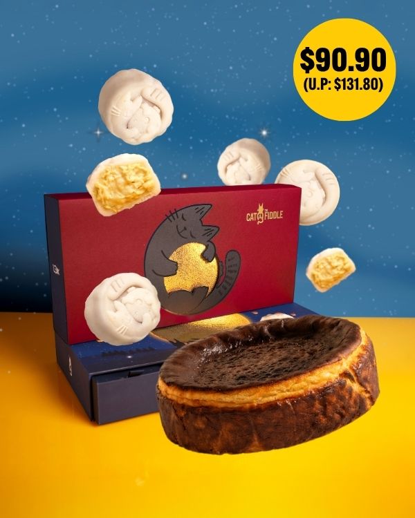 Toasty Burnt Cheesecake + MSW Durian Mooncake Bundle